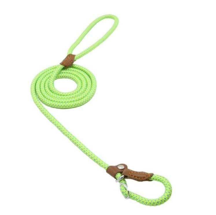 Nylon Pup Set – Complete Collar, Leash & Harness Starter Kit