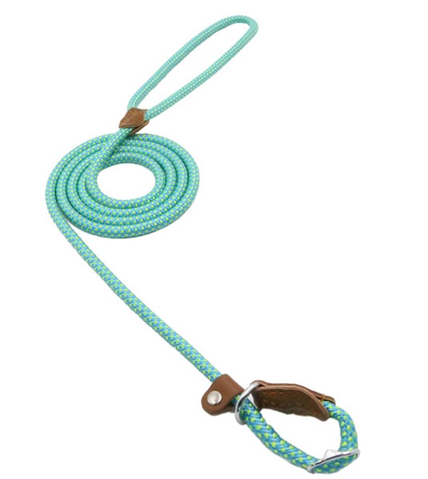 Nylon Pup Set – Complete Collar, Leash & Harness Starter Kit