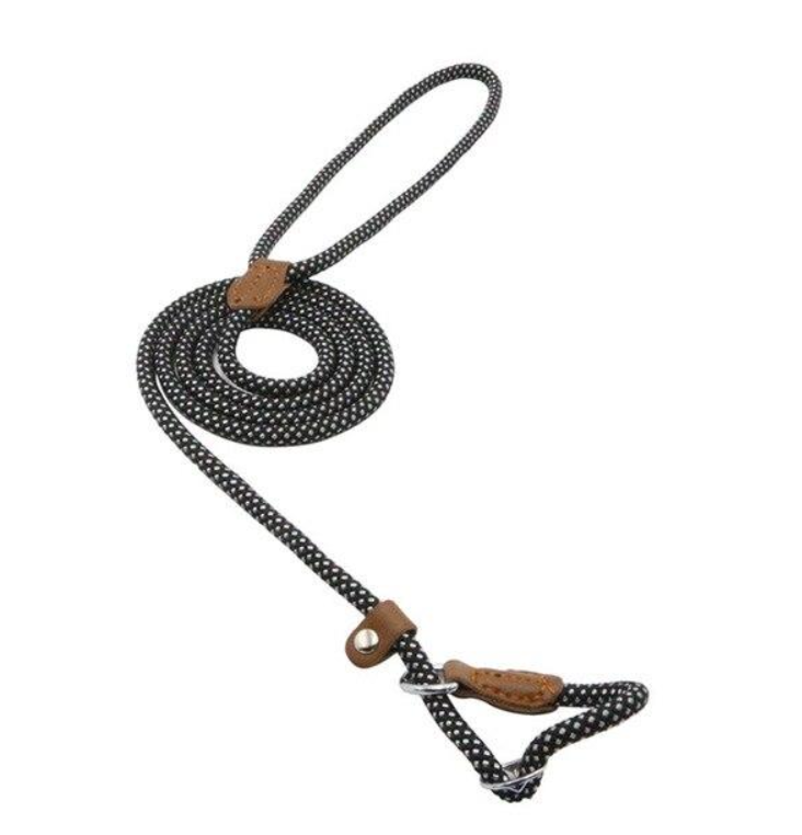 Nylon Pup Set – Complete Collar, Leash & Harness Starter Kit