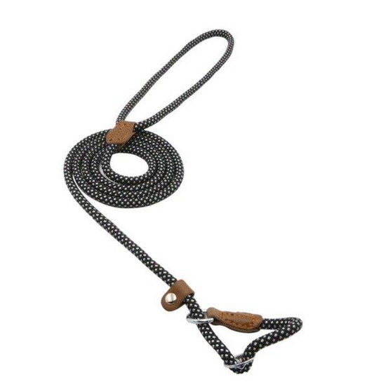 Nylon Pup Set – Complete Collar, Leash & Harness Starter Kit