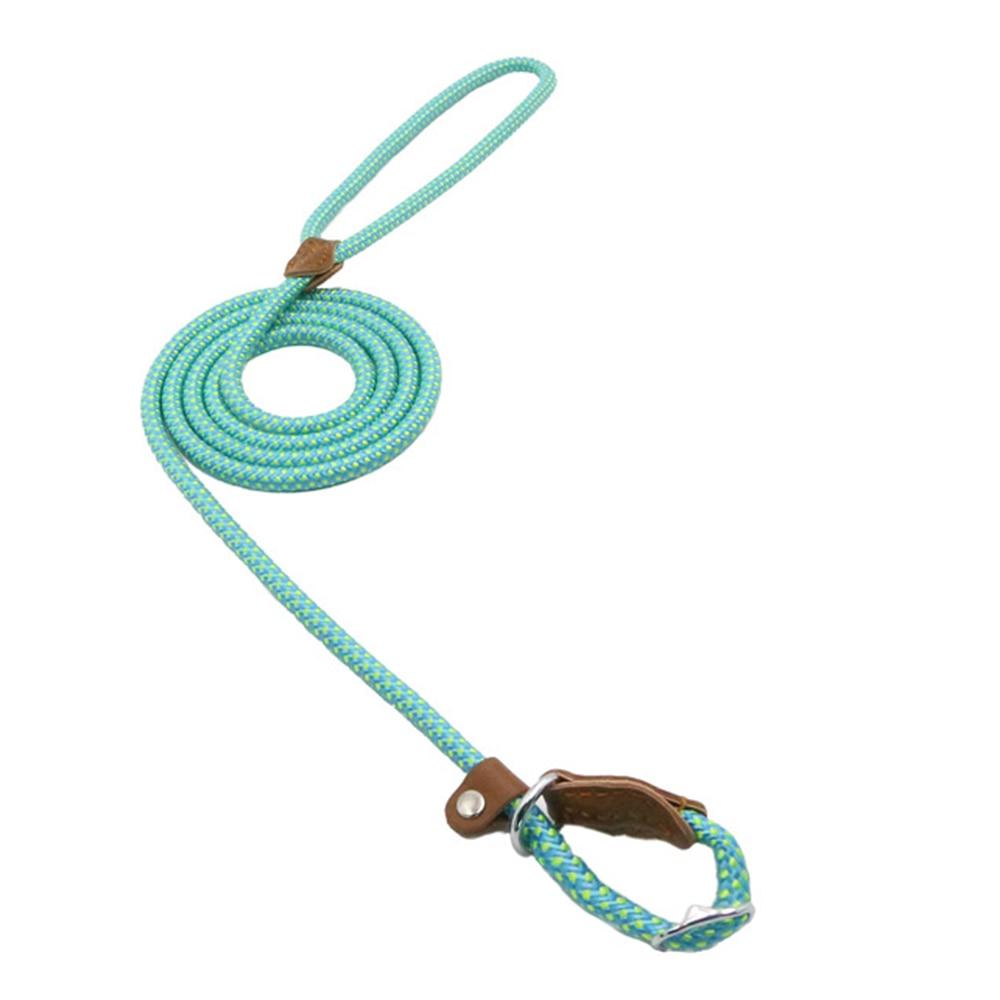 Nylon Pup Set – Complete Collar, Leash & Harness Starter Kit
