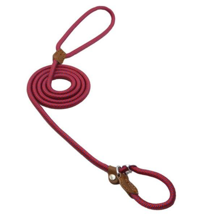 Nylon Pup Set – Complete Collar, Leash & Harness Starter Kit