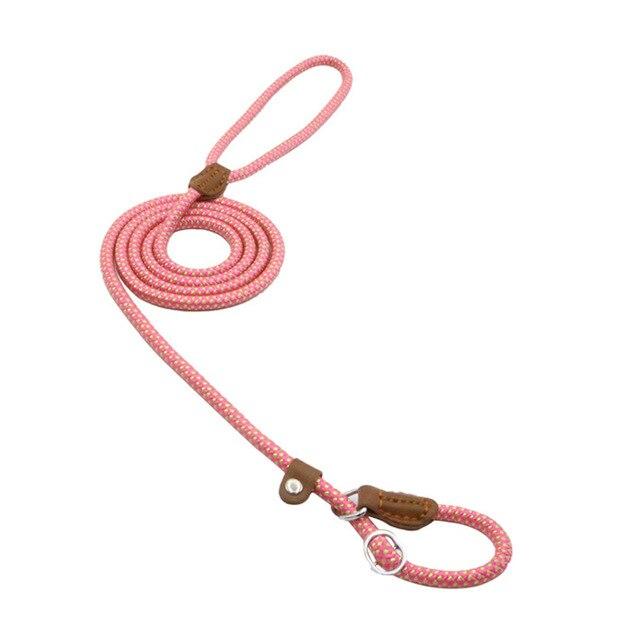 Nylon Pup Set – Complete Collar, Leash & Harness Starter Kit