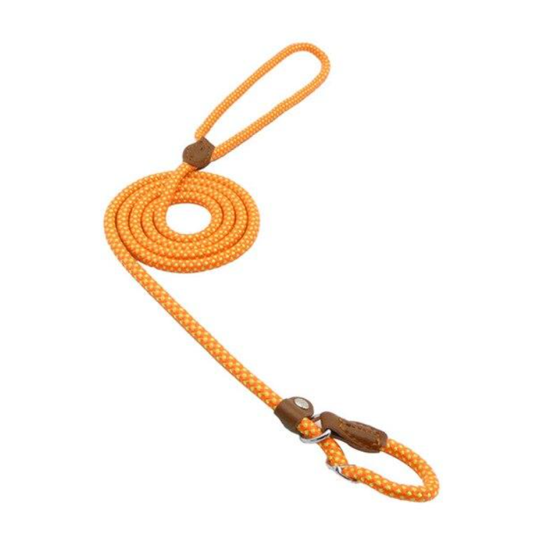 Nylon Pup Set – Complete Collar, Leash & Harness Starter Kit