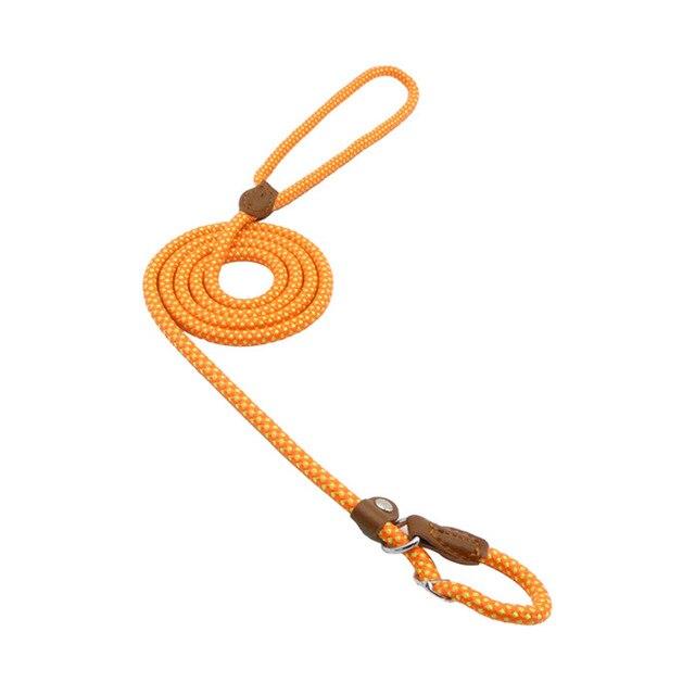Nylon Pup Set – Complete Collar, Leash & Harness Starter Kit
