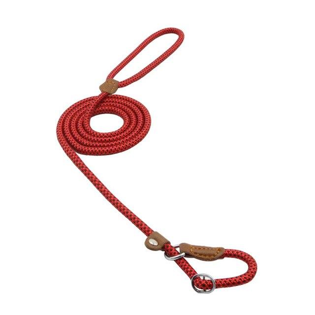 Nylon Pup Set – Complete Collar, Leash & Harness Starter Kit
