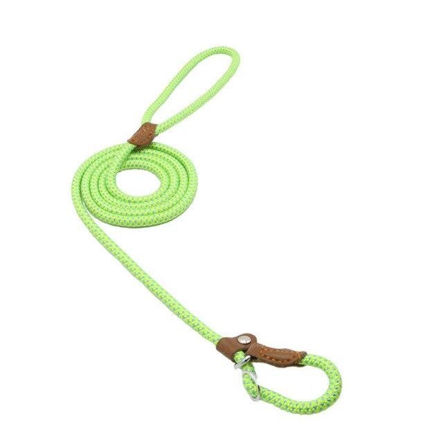 Nylon Pup Set – Complete Collar, Leash & Harness Starter Kit