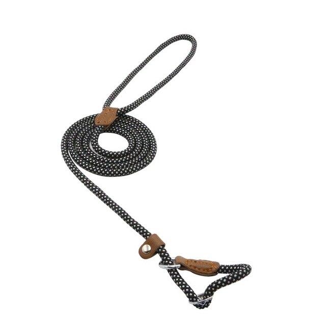 Nylon Pup Set – Complete Collar, Leash & Harness Starter Kit