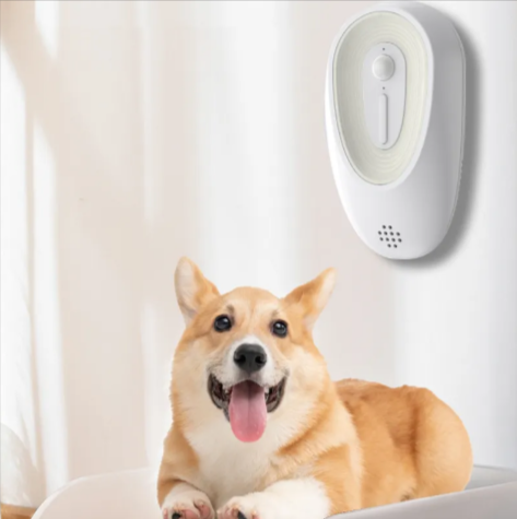 Pet Odor Eliminator for Litter Boxes – Fresh Home Guaranteed