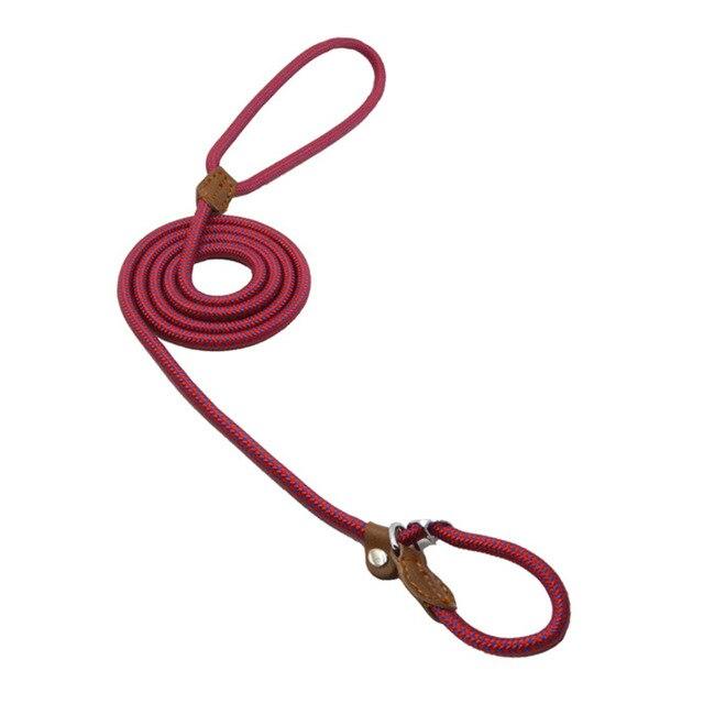 Nylon Pup Set – Complete Collar, Leash & Harness Starter Kit