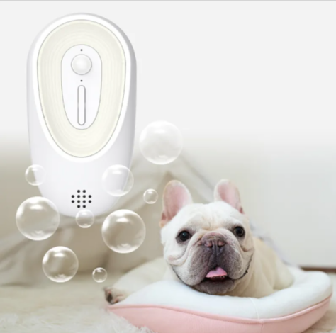 Pet Odor Eliminator for Litter Boxes – Fresh Home Guaranteed